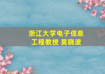 浙江大学电子信息工程教授 吴晓波